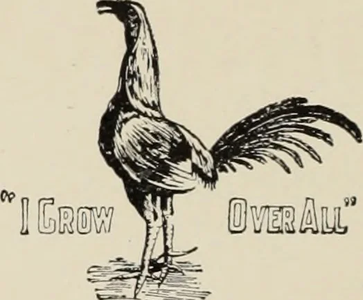 An illustration from Style (1904), 1904, leaf 281