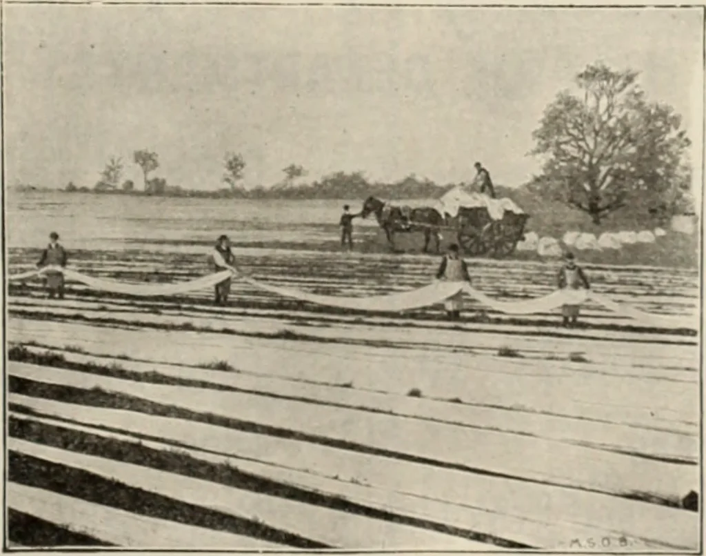 An illustration from Style (1904), 1904, leaf 284