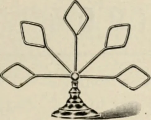 An illustration from Style (1904), 1904, leaf 322