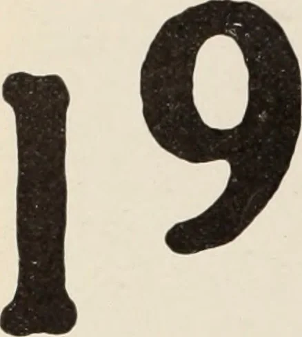 An illustration from Style (1904), 1904, leaf 349