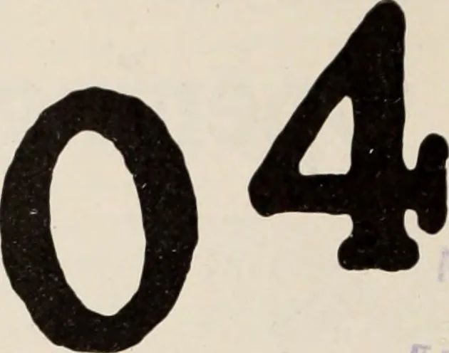 An illustration from Style (1904), 1904, leaf 349