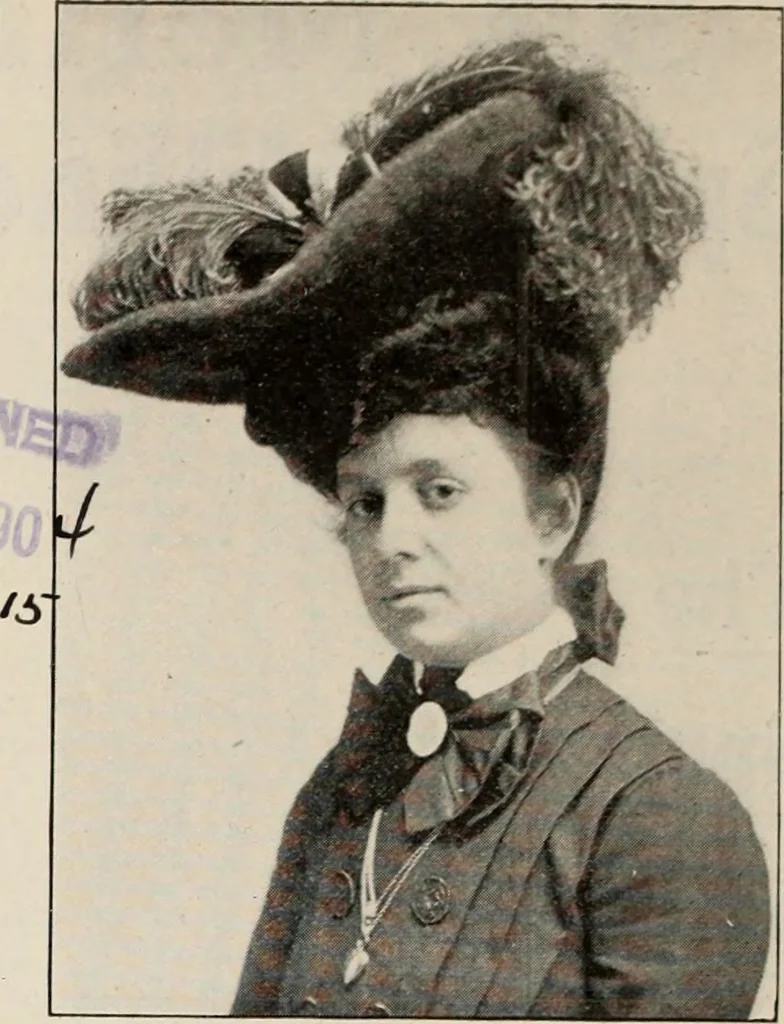 An illustration from Style (1904), 1904, leaf 349