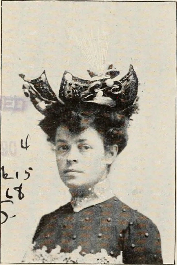 An illustration from Style (1904), 1904, leaf 349