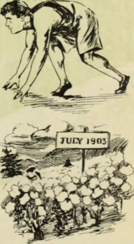 An illustration from Style (1904), 1904, leaf 36
