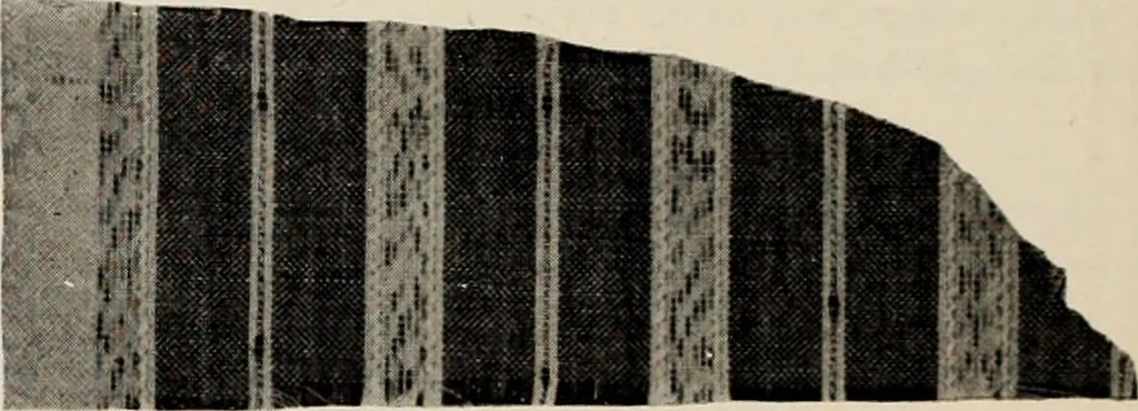 An illustration from Style (1904), 1904, leaf 367