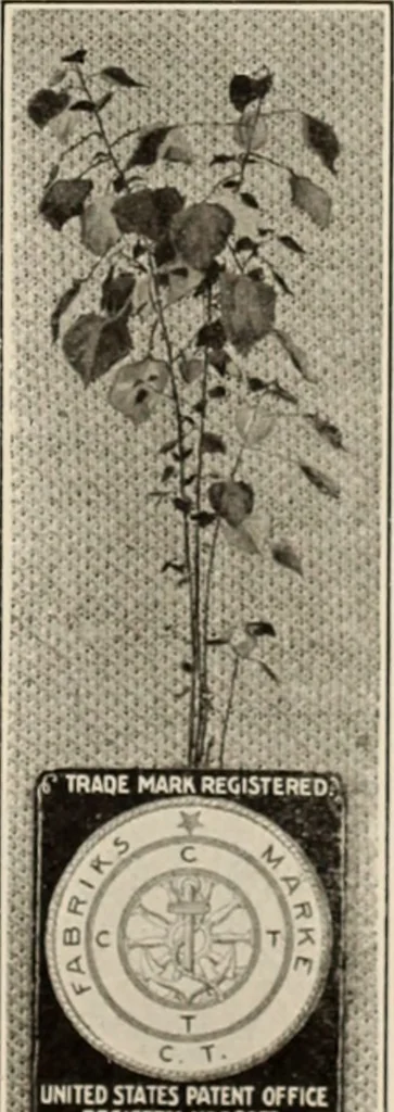 An illustration from Style (1904), 1904, leaf 376