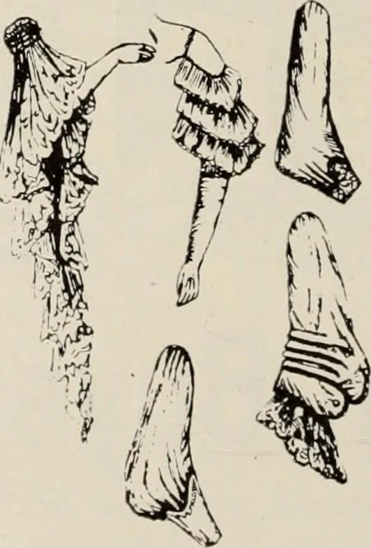 An illustration from Style (1904), 1904, leaf 401