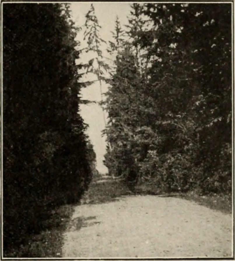 An illustration from Style (1904), 1904, leaf 44