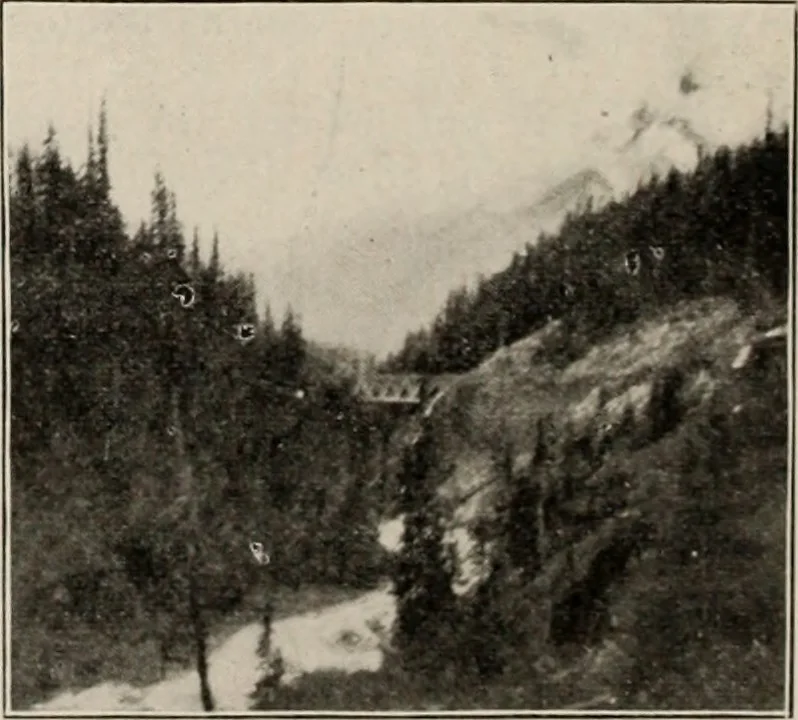 An illustration from Style (1904), 1904, leaf 45