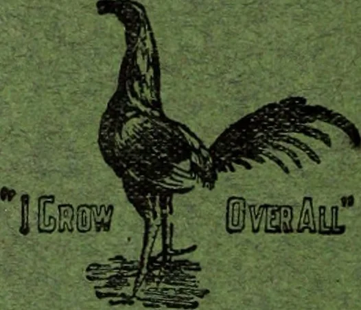 An illustration from Style (1904), 1904, leaf 455