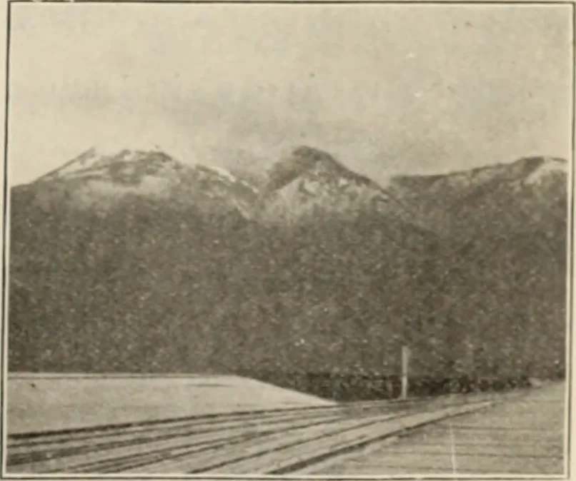 An illustration from Style (1904), 1904, leaf 46