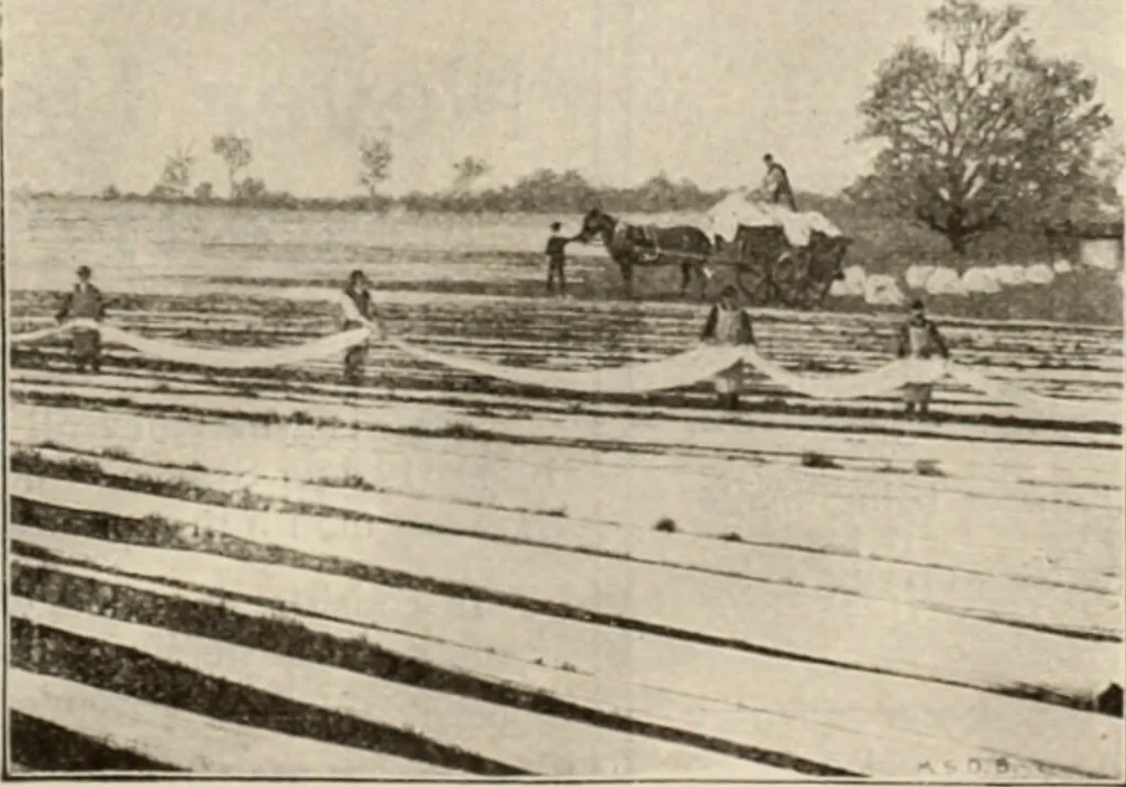 An illustration from Style (1904), 1904, leaf 488