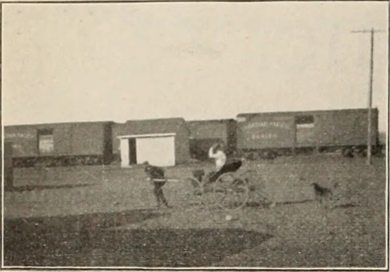 An illustration from Style (1904), 1904, leaf 49
