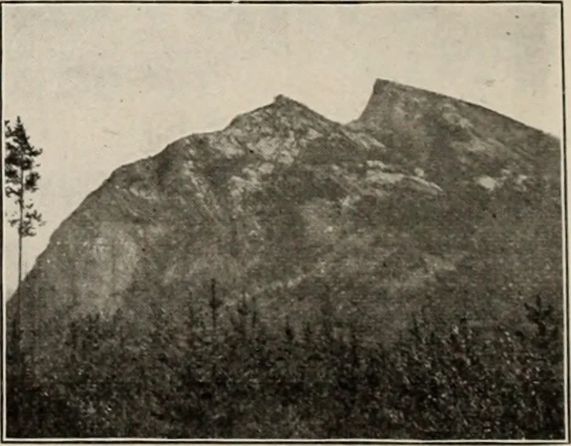 An illustration from Style (1904), 1904, leaf 49