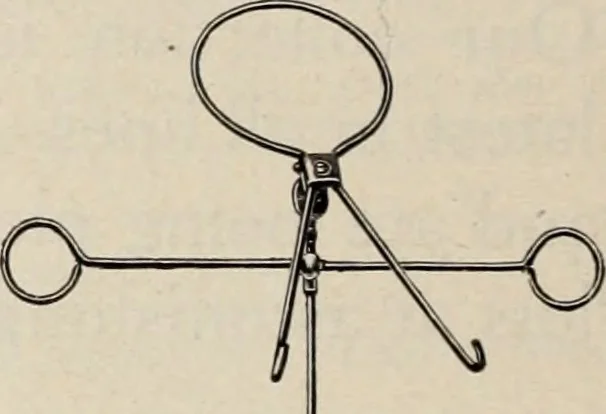 An illustration from Style (1904), 1904, leaf 521
