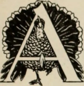 An illustration from Style (1904), 1904, leaf 54