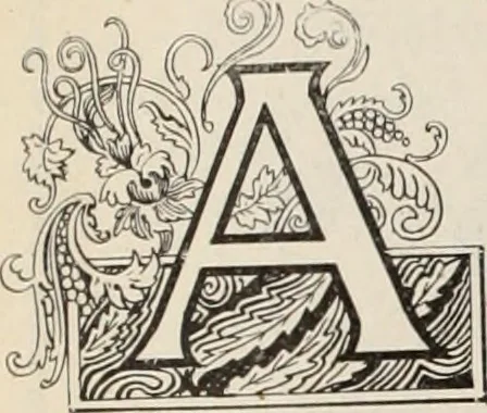 An illustration from Style (1904), 1904, leaf 61