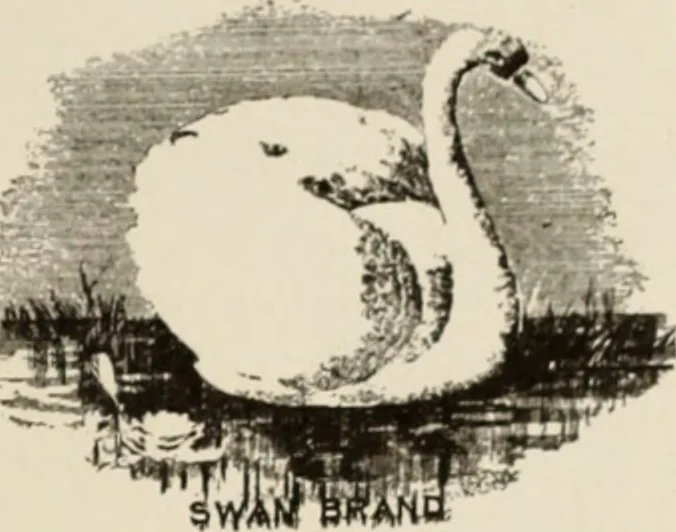 An illustration from Style (1904), 1904, leaf 668