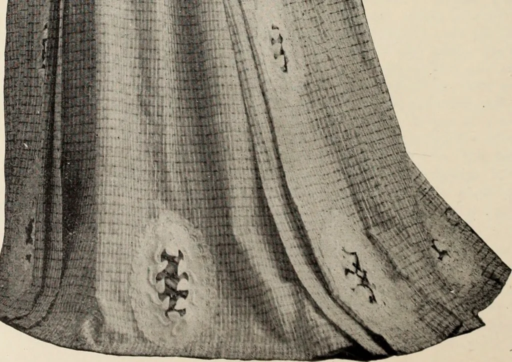 An illustration from Style (1904), 1904, leaf 705