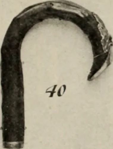 An illustration from Style (1904), 1904, leaf 732