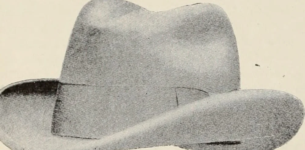 An illustration from Style (1904), 1904, leaf 739