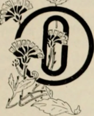 An illustration from Style (1904), 1904, leaf 88
