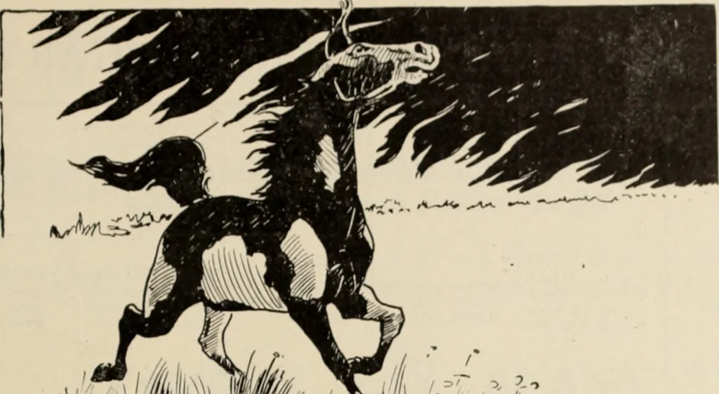 An illustration from Style (1904), 1904, leaf 912