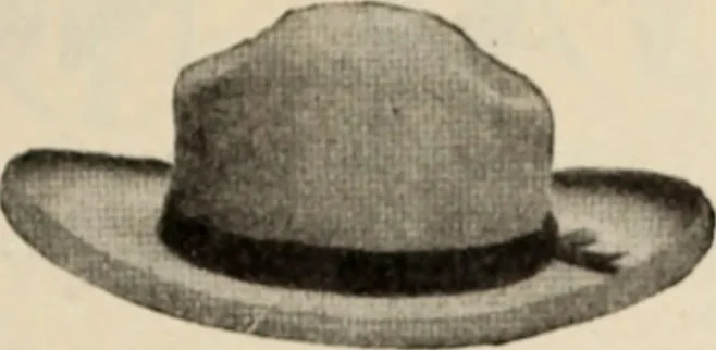 An illustration from Style (1904), 1904, leaf 916