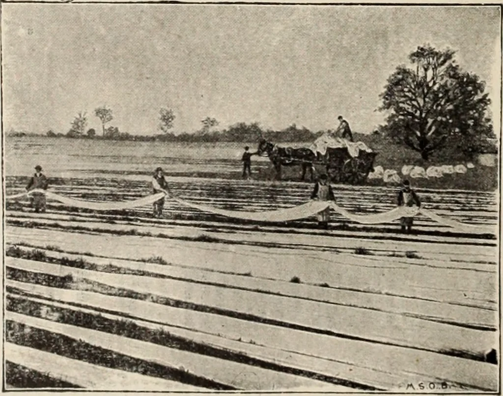 An illustration from Style (1904), 1904, leaf 979