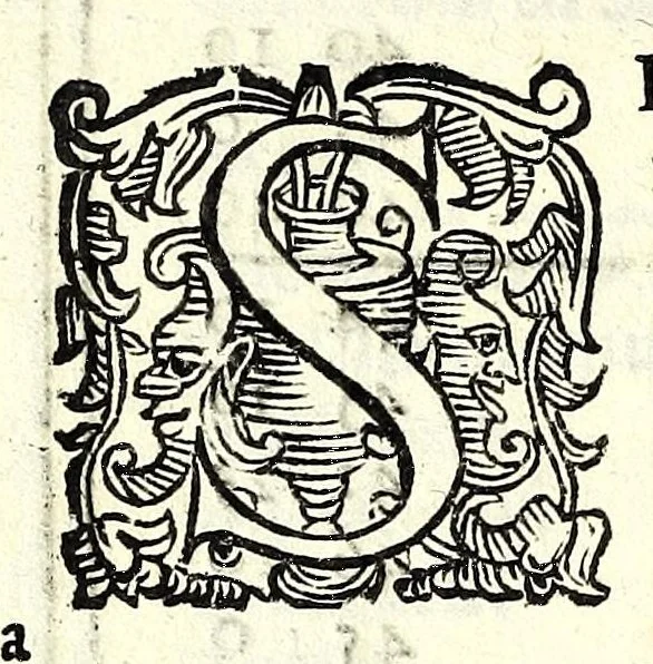 An illustration from D. Hippolyti Salodii Arimenen. abbatis Olivetani, Tabulae gnomonicae, nunc denuo castigatae & auctae : vnà cum earum dilucidatione, constructione, ac vsu : quibus iucunda operatione ac mira facilitate, ope solum alicuius normae, in aequas partes diuisae; omnigena sciotherica, horologia in planis, tùm horizontalibus tùm verticalibus : ad omnem poli eleuationem describi possunt : quod & solo canone vel solo circino, multifariè comparari posse demonstratur, 1626, leaf 232