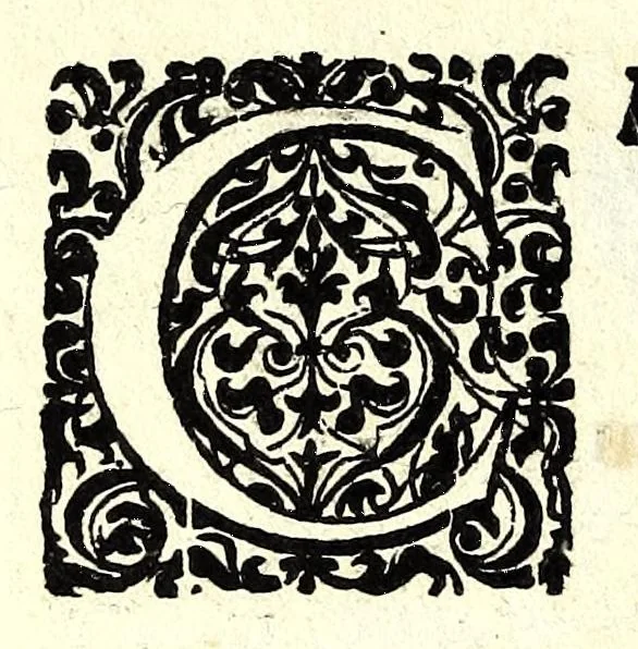 An illustration from D. Hippolyti Salodii Arimenen. abbatis Olivetani, Tabulae gnomonicae, nunc denuo castigatae & auctae : vnà cum earum dilucidatione, constructione, ac vsu : quibus iucunda operatione ac mira facilitate, ope solum alicuius normae, in aequas partes diuisae; omnigena sciotherica, horologia in planis, tùm horizontalibus tùm verticalibus : ad omnem poli eleuationem describi possunt : quod & solo canone vel solo circino, multifariè comparari posse demonstratur, 1626, leaf 236