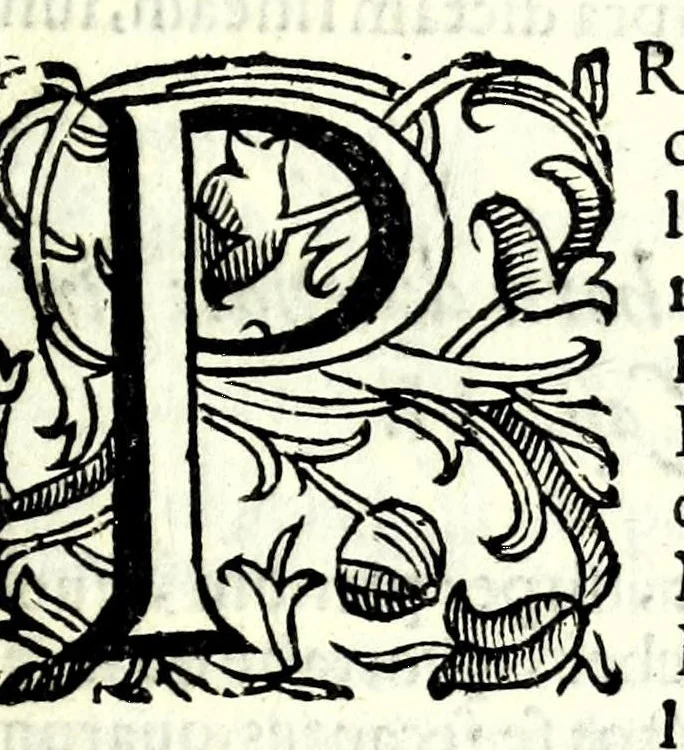 An illustration from D. Hippolyti Salodii Arimenen. abbatis Olivetani, Tabulae gnomonicae, nunc denuo castigatae & auctae : vnà cum earum dilucidatione, constructione, ac vsu : quibus iucunda operatione ac mira facilitate, ope solum alicuius normae, in aequas partes diuisae; omnigena sciotherica, horologia in planis, tùm horizontalibus tùm verticalibus : ad omnem poli eleuationem describi possunt : quod & solo canone vel solo circino, multifariè comparari posse demonstratur, 1626, leaf 39