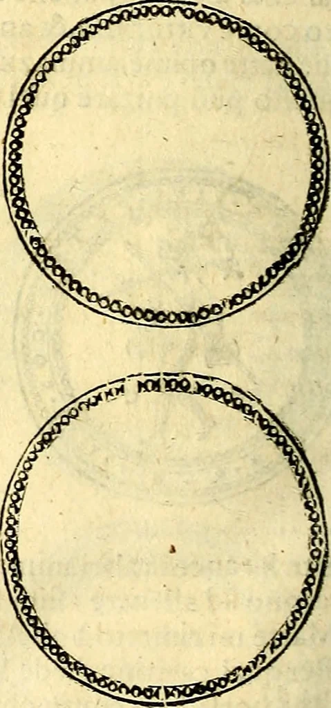 An illustration from Dialoghi di d. Antonio Agostini arcivescovo de Tarracona; sopra le medaglie, iscrizioni, e altre antichita:, 1698, leaf 197