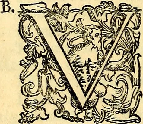 An illustration from Dialoghi di d. Antonio Agostini arcivescovo de Tarracona; sopra le medaglie, iscrizioni, e altre antichita:, 1698, leaf 313