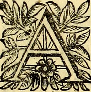 An illustration from Dialoghi di d. Antonio Agostini arcivescovo de Tarracona; sopra le medaglie, iscrizioni, e altre antichita:, 1698, leaf 350