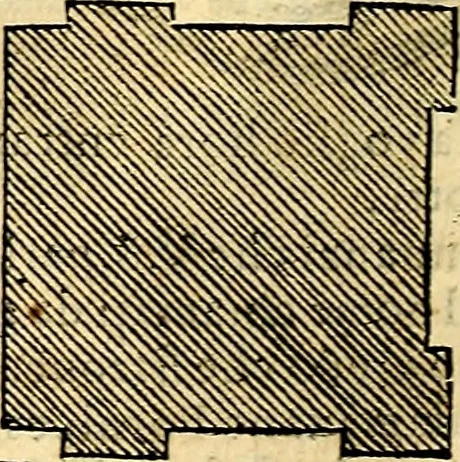 An illustration from Dialoghi di don Antonio Agostini archivescovo di Taracona, intorno alle medaglie, inscrittioni, & altre antichità, 1625, leaf 143