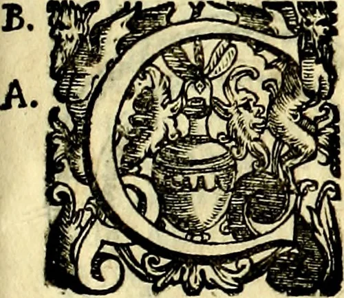 An illustration from Dialoghi di don Antonio Agostini archivescovo di Taracona, intorno alle medaglie, inscrittioni, & altre antichità, 1625, leaf 240