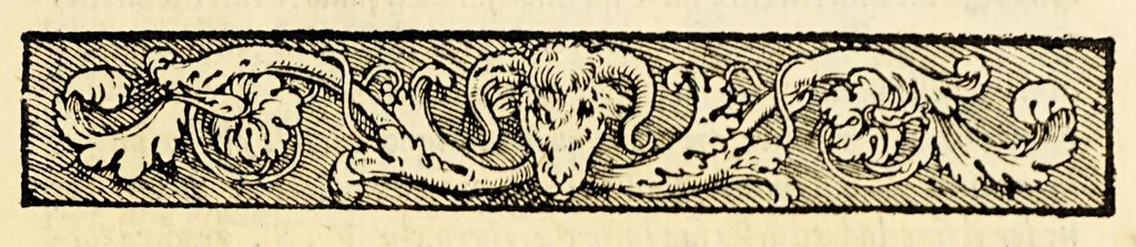 An illustration from Dialoghi di Pietro Messia, 1557, leaf 7