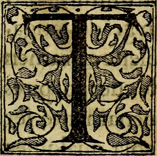 An illustration from Dialogo de las empresas militares, y amorosas, compuesto en lengua italiana, por el illvstre, y reverendissimo señor Paulo Iouio obispo de Nucera . En el qval se tracta de las devisas, armas, motes, o blasones de linages. Con vn razonemiento a esse proposito, del magnifico señot Ludouico Domeniqui. Todo nueuamente traduzido en romance castellano, por Alonso de Vlloa. Anadimos a esto las empresas heroicas, y morales, del señor Gabriel Symeon, 1561, leaf 12