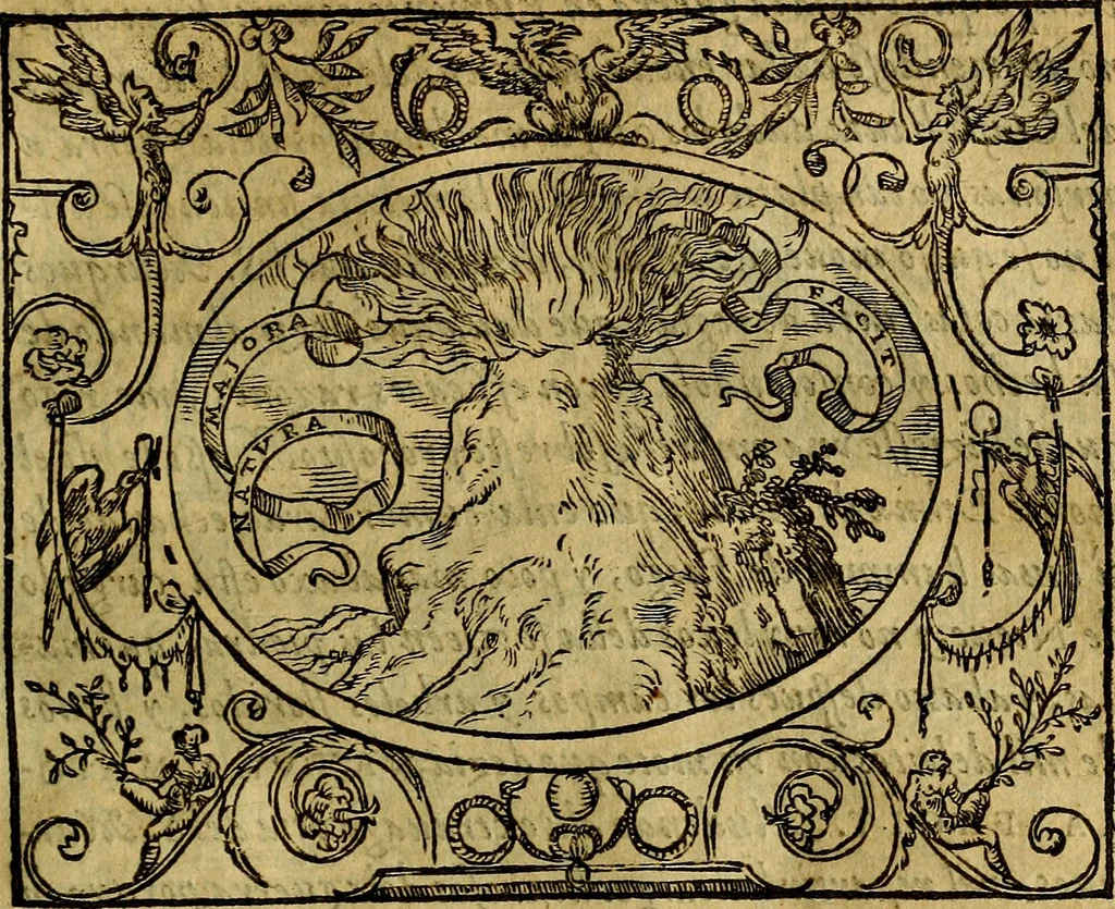 An illustration from Dialogo de las empresas militares, y amorosas, compuesto en lengua italiana, por el illvstre, y reverendissimo señor Paulo Iouio obispo de Nucera . En el qval se tracta de las devisas, armas, motes, o blasones de linages. Con vn razonemiento a esse proposito, del magnifico señot Ludouico Domeniqui. Todo nueuamente traduzido en romance castellano, por Alonso de Vlloa. Anadimos a esto las empresas heroicas, y morales, del señor Gabriel Symeon, 1561, leaf 122