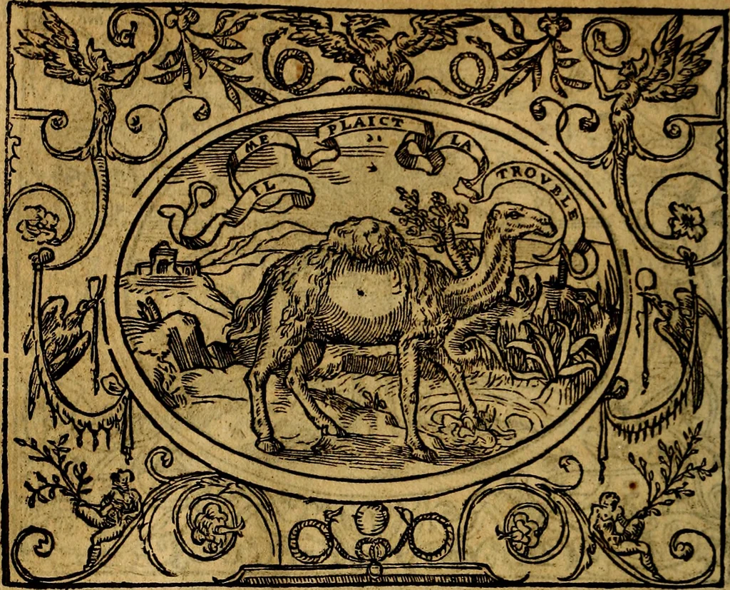 An illustration from Dialogo de las empresas militares, y amorosas, compuesto en lengua italiana, por el illvstre, y reverendissimo señor Paulo Iouio obispo de Nucera . En el qval se tracta de las devisas, armas, motes, o blasones de linages. Con vn razonemiento a esse proposito, del magnifico señot Ludouico Domeniqui. Todo nueuamente traduzido en romance castellano, por Alonso de Vlloa. Anadimos a esto las empresas heroicas, y morales, del señor Gabriel Symeon, 1561, leaf 73