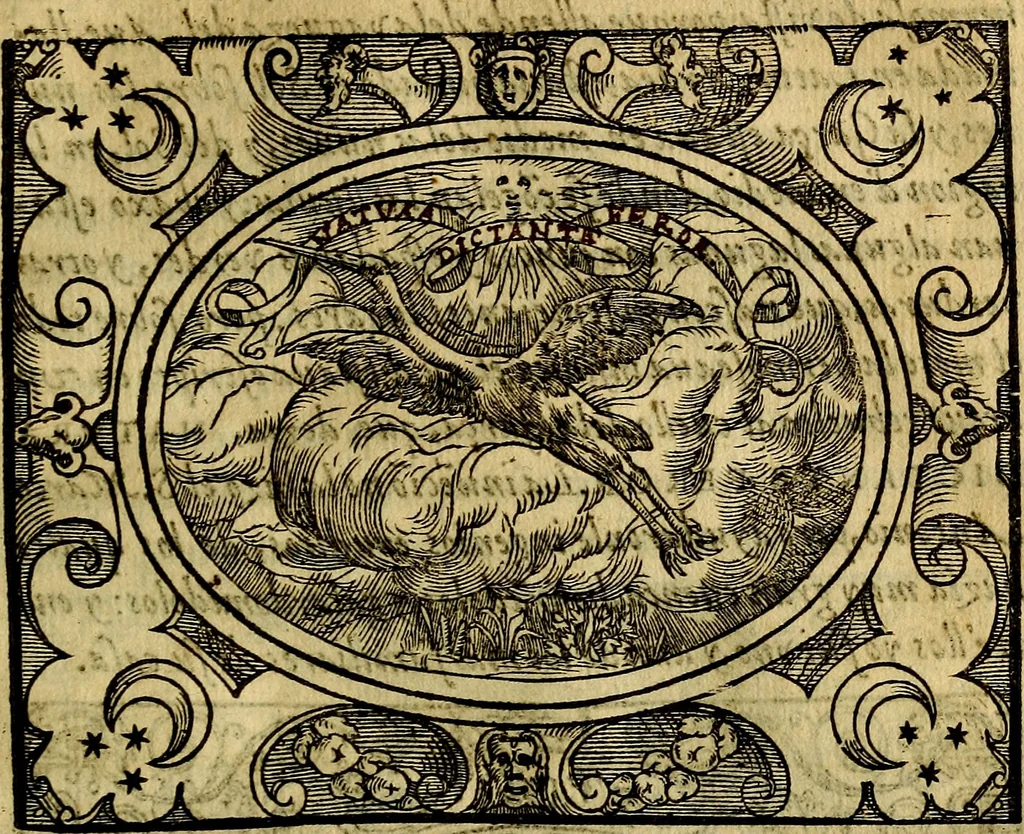 An illustration from Dialogo de las empresas militares, y amorosas, compuesto en lengua italiana, por el illvstre, y reverendissimo señor Paulo Iouio obispo de Nucera . En el qval se tracta de las devisas, armas, motes, o blasones de linages. Con vn razonemiento a esse proposito, del magnifico señot Ludouico Domeniqui. Todo nueuamente traduzido en romance castellano, por Alonso de Vlloa. Anadimos a esto las empresas heroicas, y morales, del señor Gabriel Symeon, 1561, leaf 82