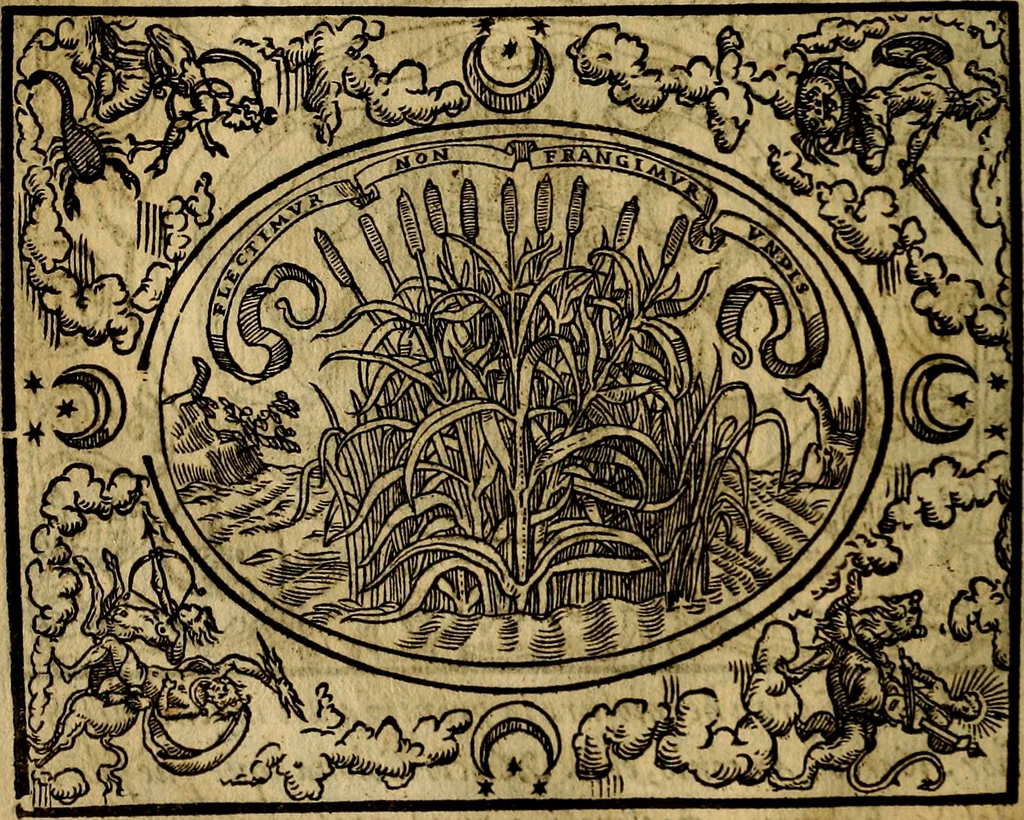 An illustration from Dialogo de las empresas militares, y amorosas, compuesto en lengua italiana, por el illvstre, y reverendissimo señor Paulo Iouio obispo de Nucera . En el qval se tracta de las devisas, armas, motes, o blasones de linages. Con vn razonemiento a esse proposito, del magnifico señot Ludouico Domeniqui. Todo nueuamente traduzido en romance castellano, por Alonso de Vlloa. Anadimos a esto las empresas heroicas, y morales, del señor Gabriel Symeon, 1561, leaf 85