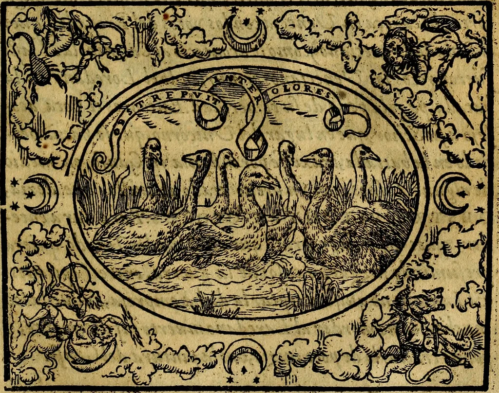 An illustration from Dialogo de las empresas militares, y amorosas, compuesto en lengua italiana, por el illvstre, y reverendissimo señor Paulo Iouio obispo de Nucera . En el qval se tracta de las devisas, armas, motes, o blasones de linages. Con vn razonemiento a esse proposito, del magnifico señot Ludouico Domeniqui. Todo nueuamente traduzido en romance castellano, por Alonso de Vlloa. Anadimos a esto las empresas heroicas, y morales, del señor Gabriel Symeon, 1561, leaf 88