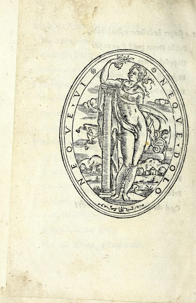 An illustration from Dialogo della bella creanza delle donne, 1558, leaf 92