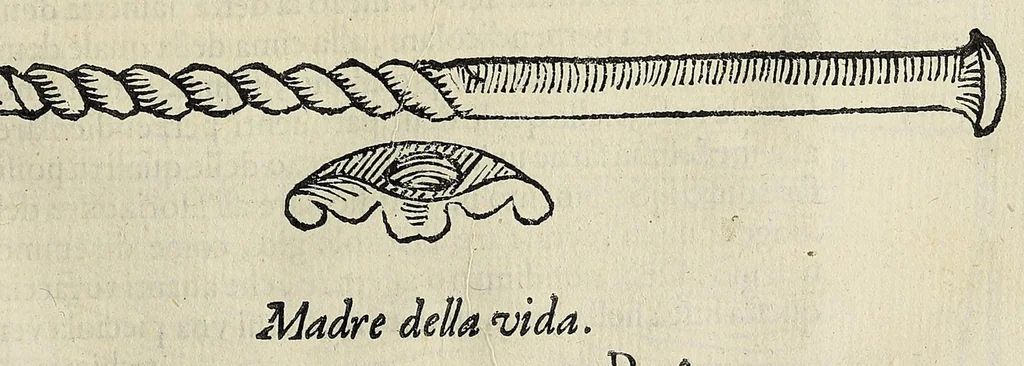 An illustration from Dialogo della descrittione teorica et pratica de gli horologi solari, 1565, leaf 215