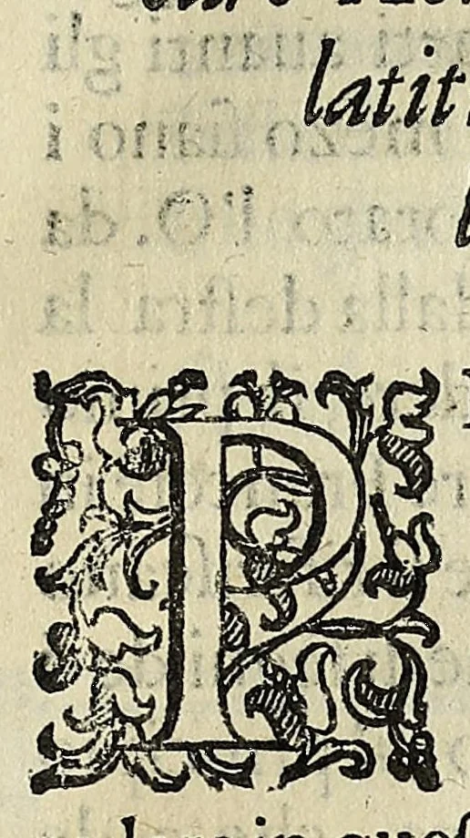 An illustration from Dialogo della descrittione teorica et pratica de gli horologi solari, 1565, leaf 251