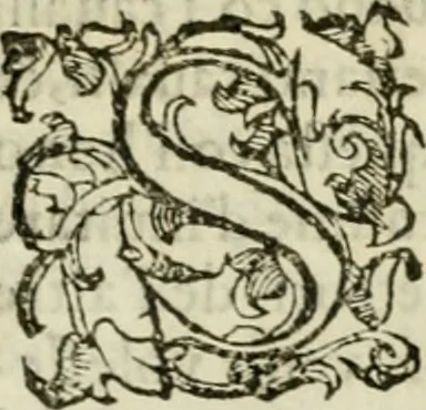 An illustration from Dialogo della giostra fatta in Trivigi l'anno MDXCVII, 1598, leaf 10