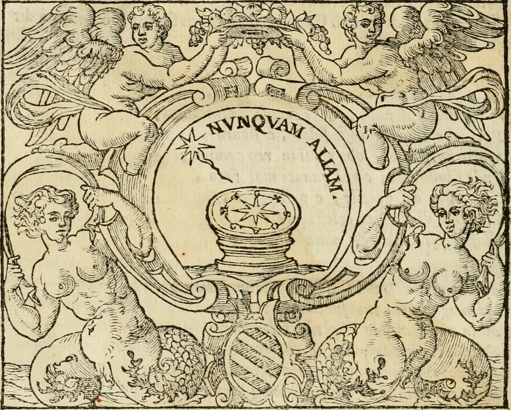 An illustration from Dialogo della giostra fatta in Trivigi l'anno MDXCVII, 1598, leaf 105