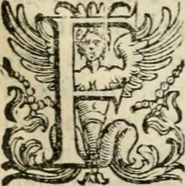 An illustration from Dialogo della giostra fatta in Trivigi l'anno MDXCVII, 1598, leaf 124